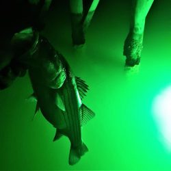 UNDERWATER FISHING GREEN LIGHT
